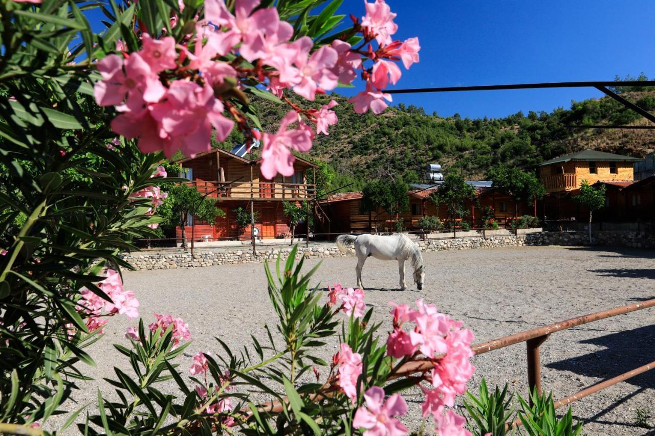 Oranj Ranch Hotel Kemer Exteriör bild