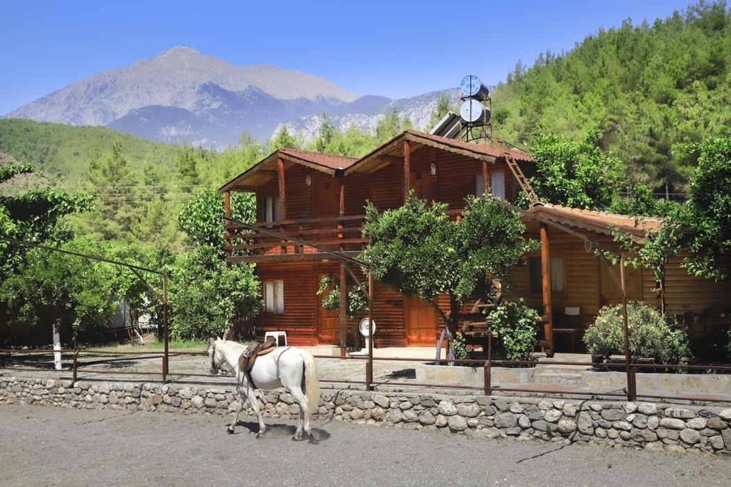 Oranj Ranch Hotel Kemer Exteriör bild