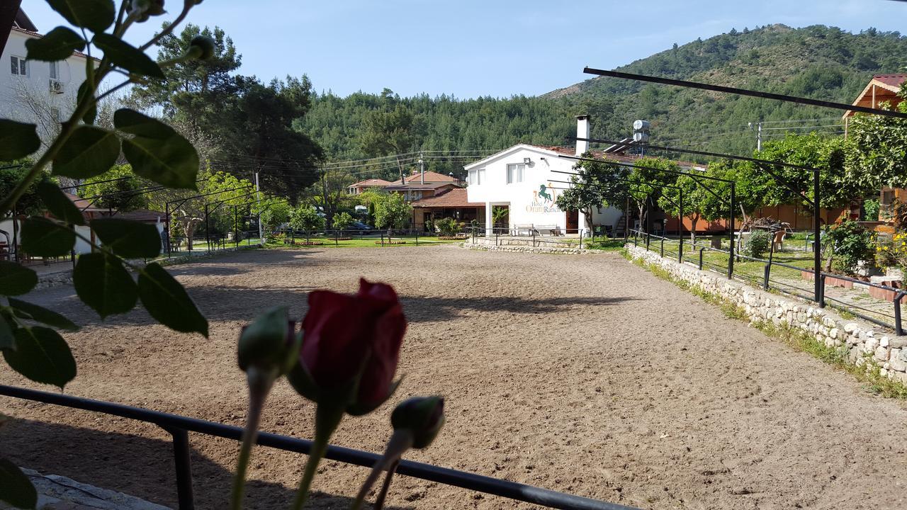 Oranj Ranch Hotel Kemer Exteriör bild