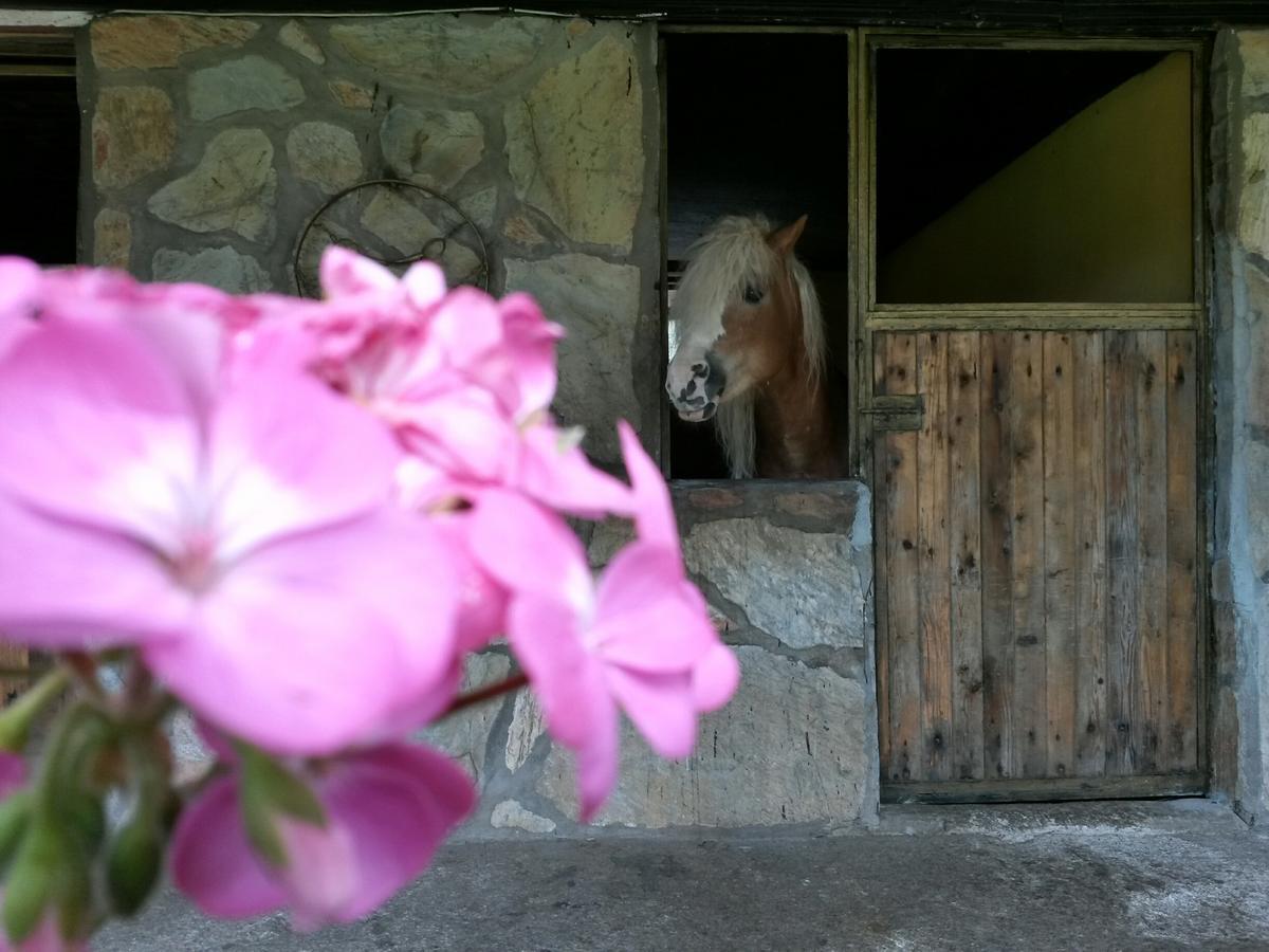 Oranj Ranch Hotel Kemer Exteriör bild