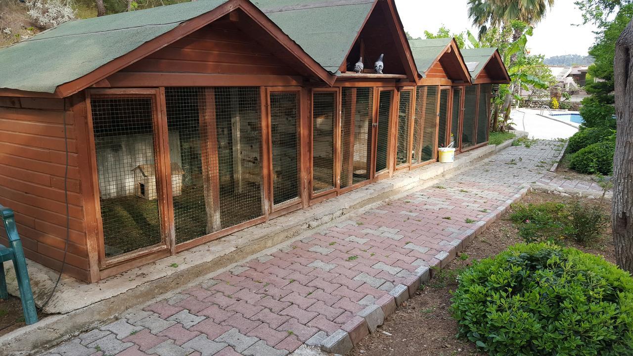 Oranj Ranch Hotel Kemer Exteriör bild