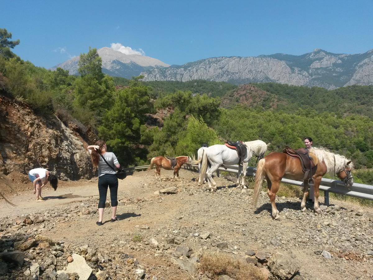 Oranj Ranch Hotel Kemer Exteriör bild
