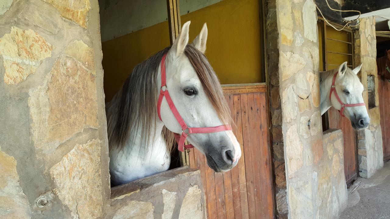 Oranj Ranch Hotel Kemer Exteriör bild
